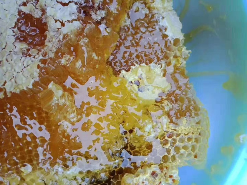 土蜂蜜深山百花蜜品质保证假一赔十可批发一件代发
