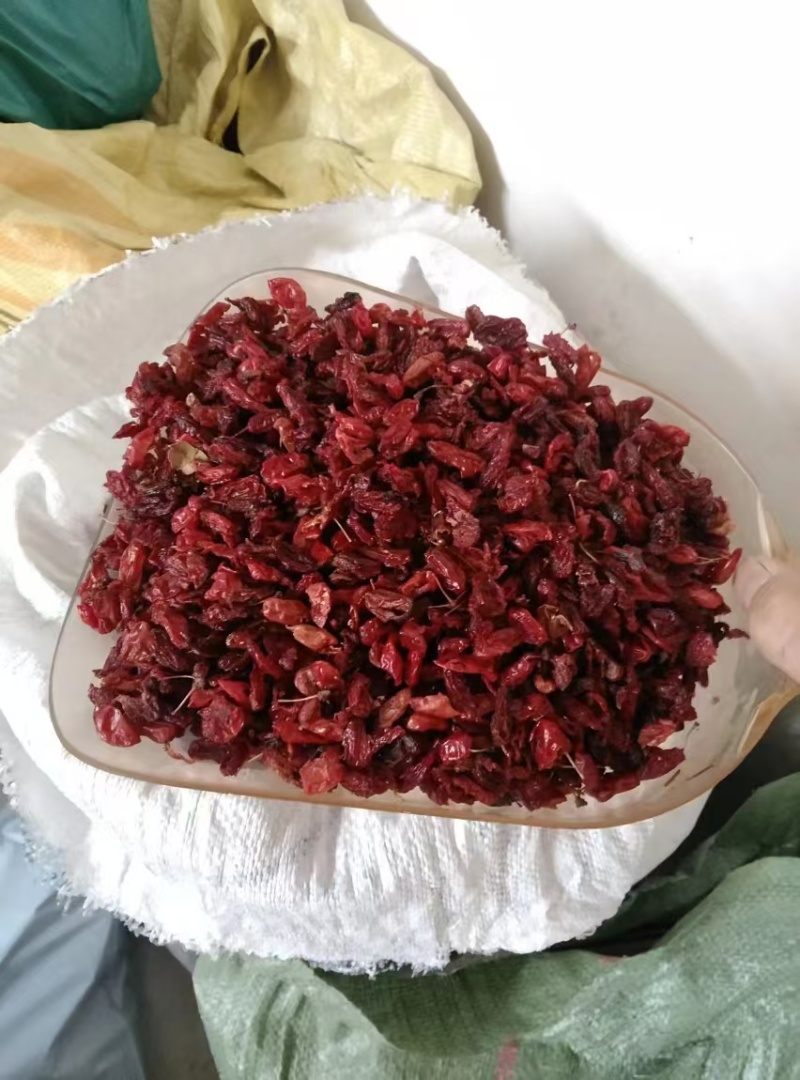 秦岭山茱萸