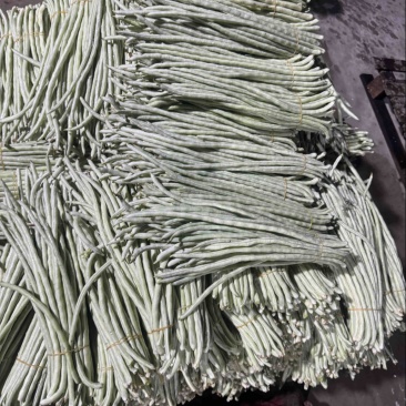 秋季白条豆角大量上市精品货，量大，可以供货90天可售后，
