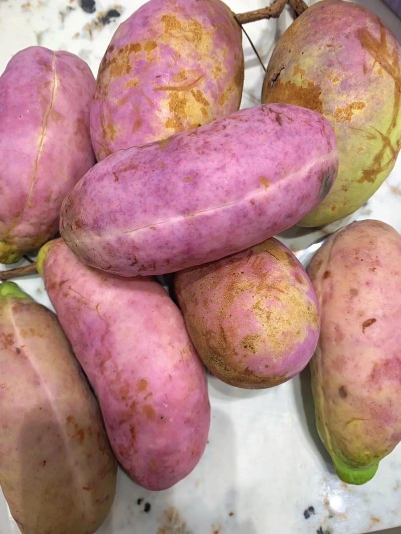 八月瓜八月果