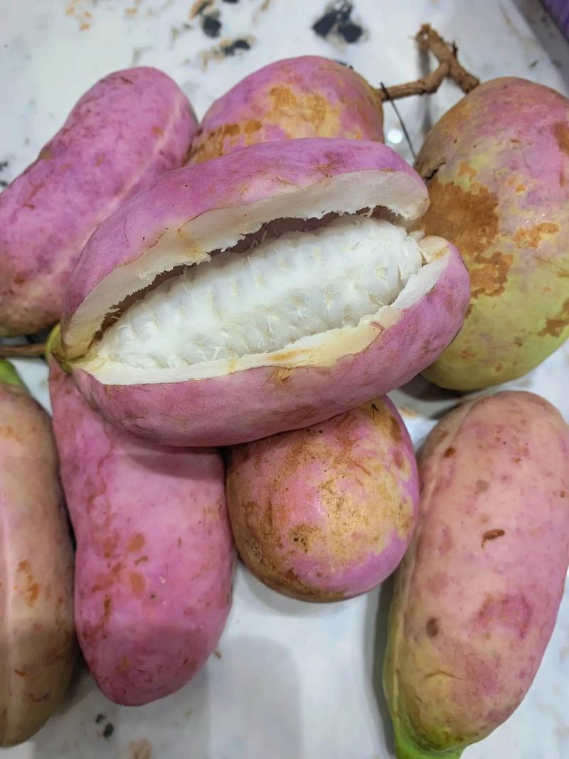 八月瓜八月果