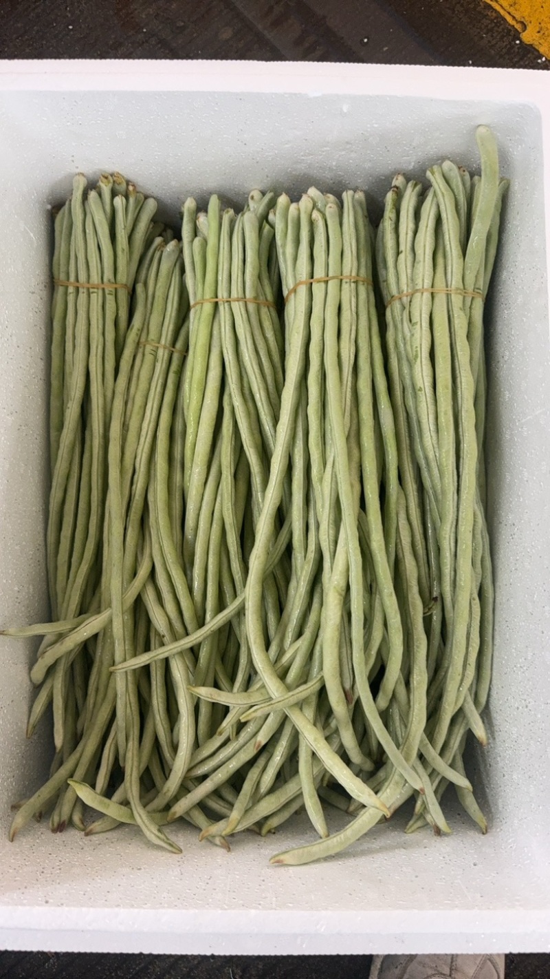 秋季白条豆角大量上市精品货，量大，可以供货90天可售后，