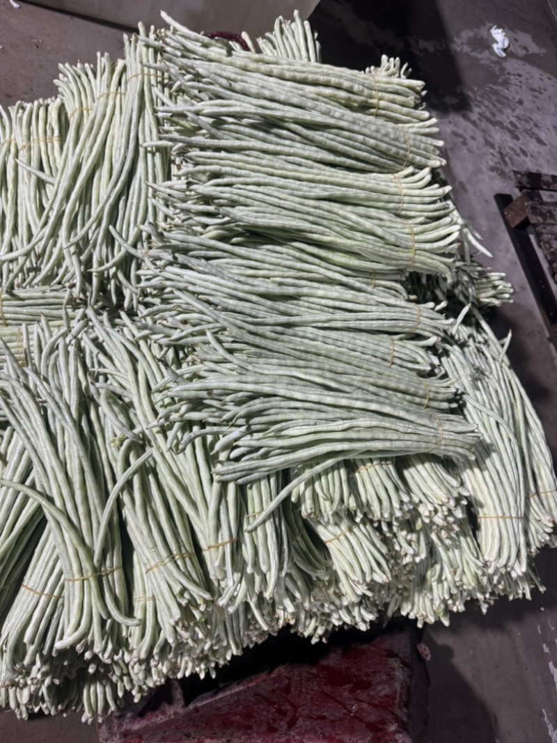 秋季白条豆角大量上市精品货，量大，可以供货90天可售后，