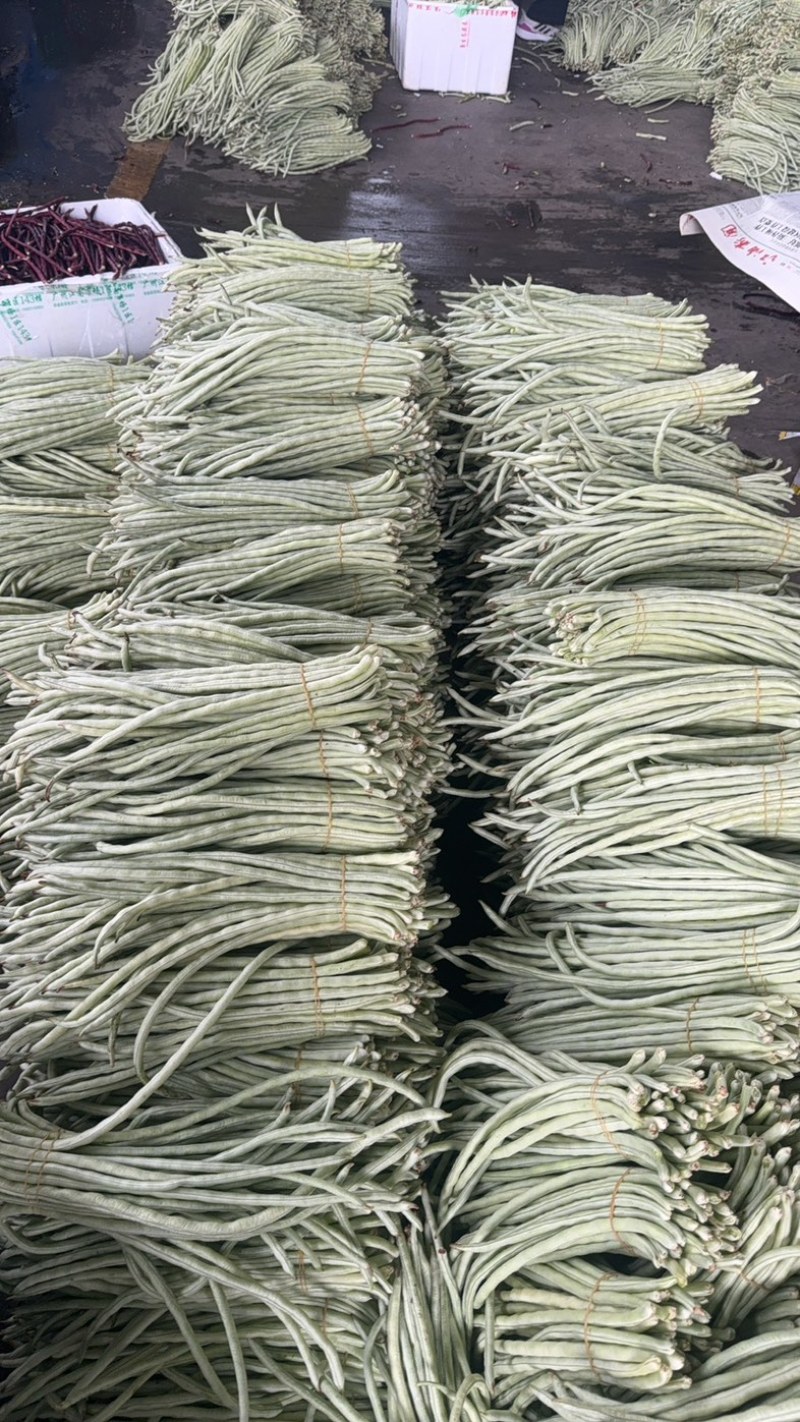 秋季白条豆角大量上市精品货，量大，可以供货90天可售后，
