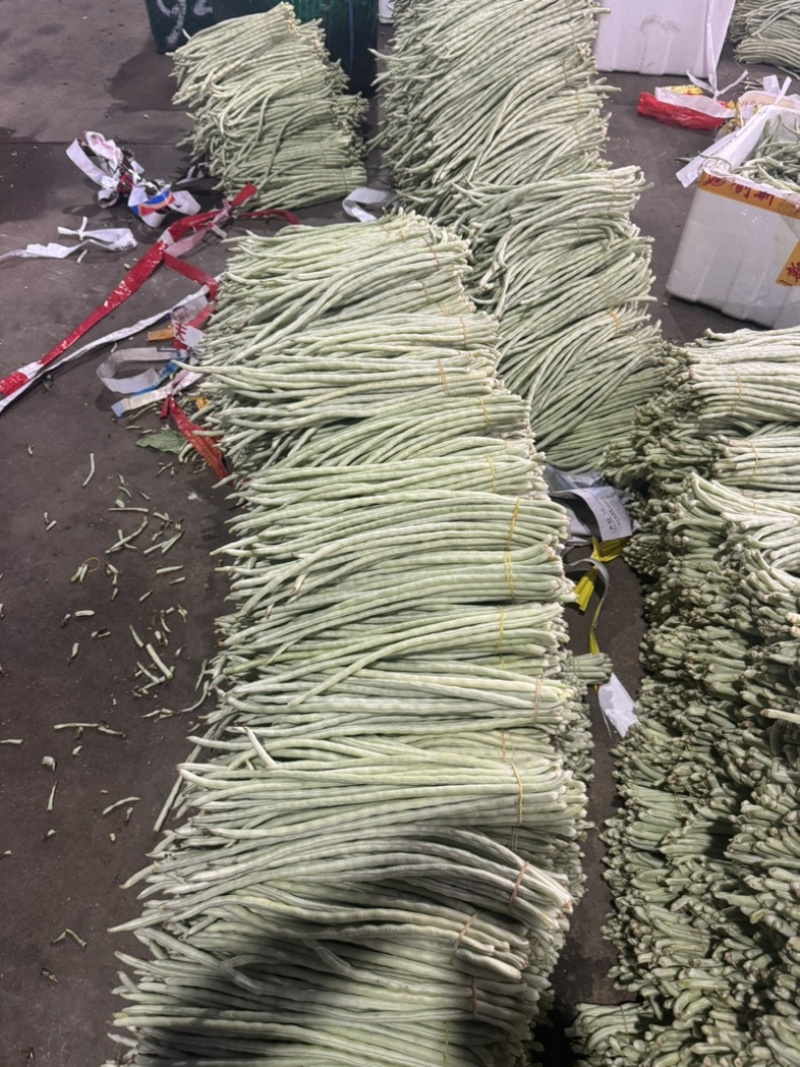 秋季白条豆角大量上市精品货，量大，可以供货90天可售后，