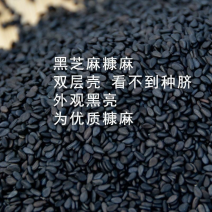新货免洗黑芝麻干净生黑麻无沙颗粒饱满新鲜染色一级