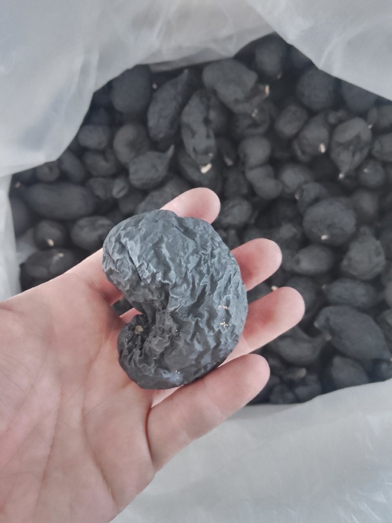 野生乌灵参干品，实心，纯黑，各种规格都有现货