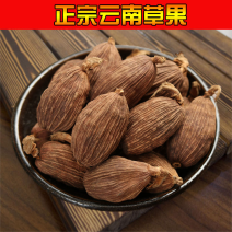 云南精品草果香料中药材大货批发