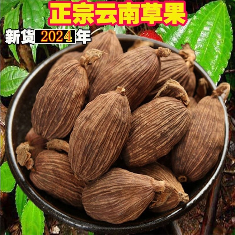 云南精品草果香料中药材大货批发