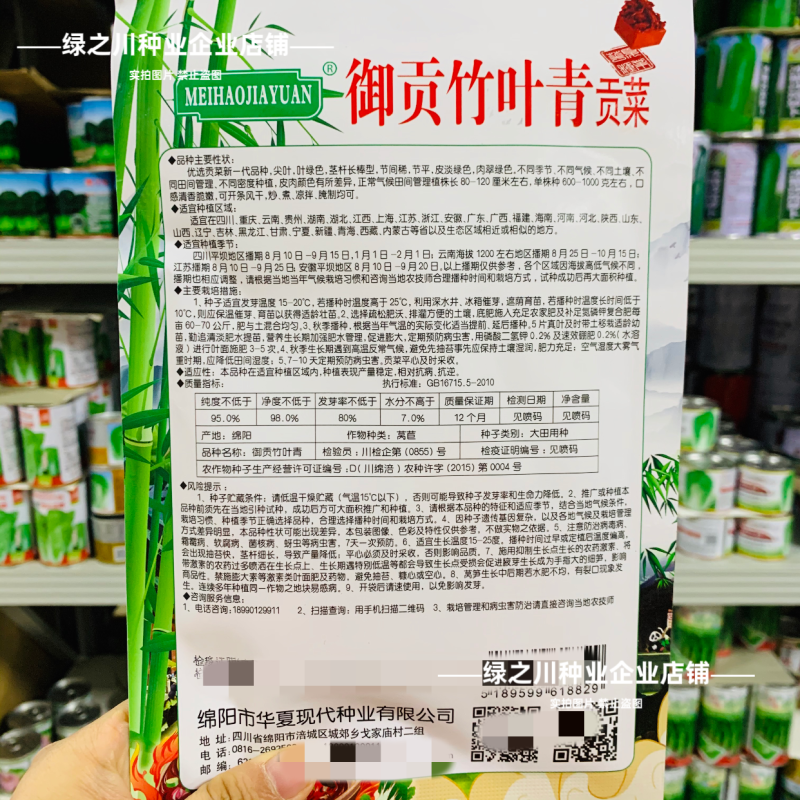 四川御贡竹叶青贡菜种子尖叶长棒形贡菜莴笋种籽火锅菜蔬菜种