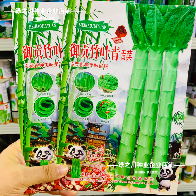 四川御贡竹叶青贡菜种子尖叶长棒形贡菜莴笋种籽火锅菜蔬菜种