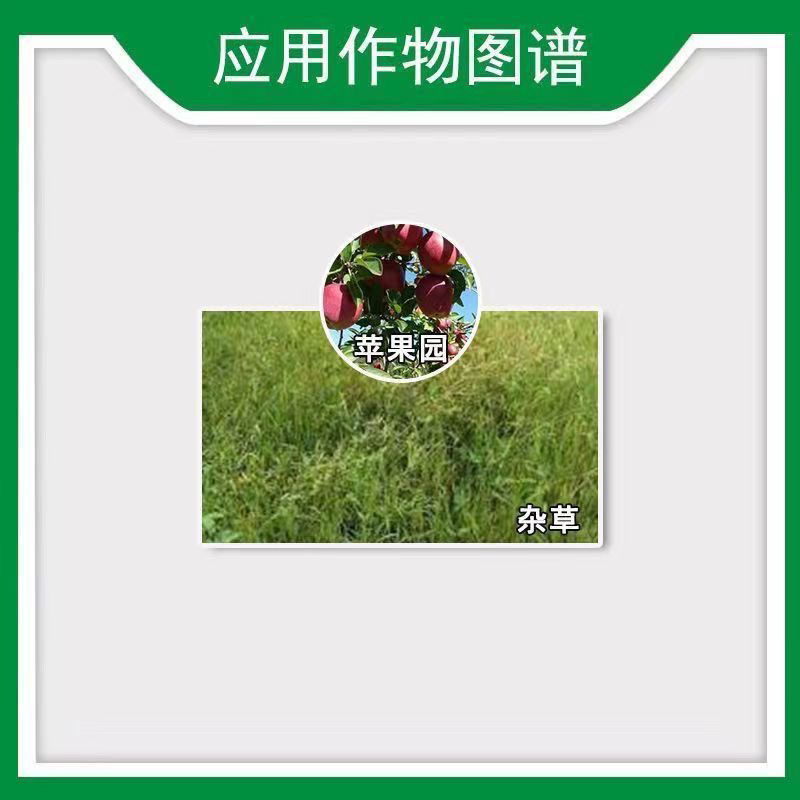 农博士飞快45%2甲·草甘膦苹果园杂草农用除草剂