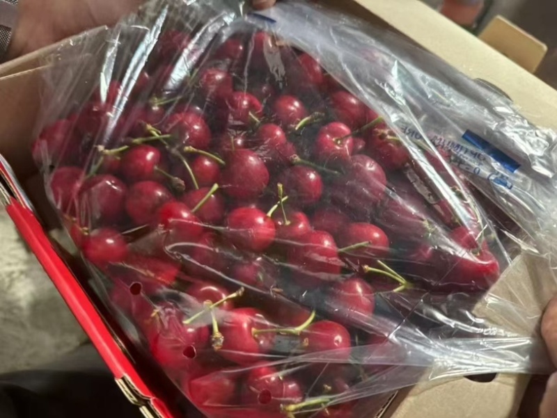 智利车厘子🍒产地直销一手货源➕***********