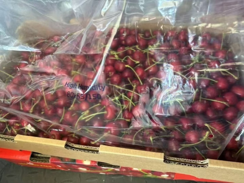智利车厘子🍒产地直销一手货源➕***********
