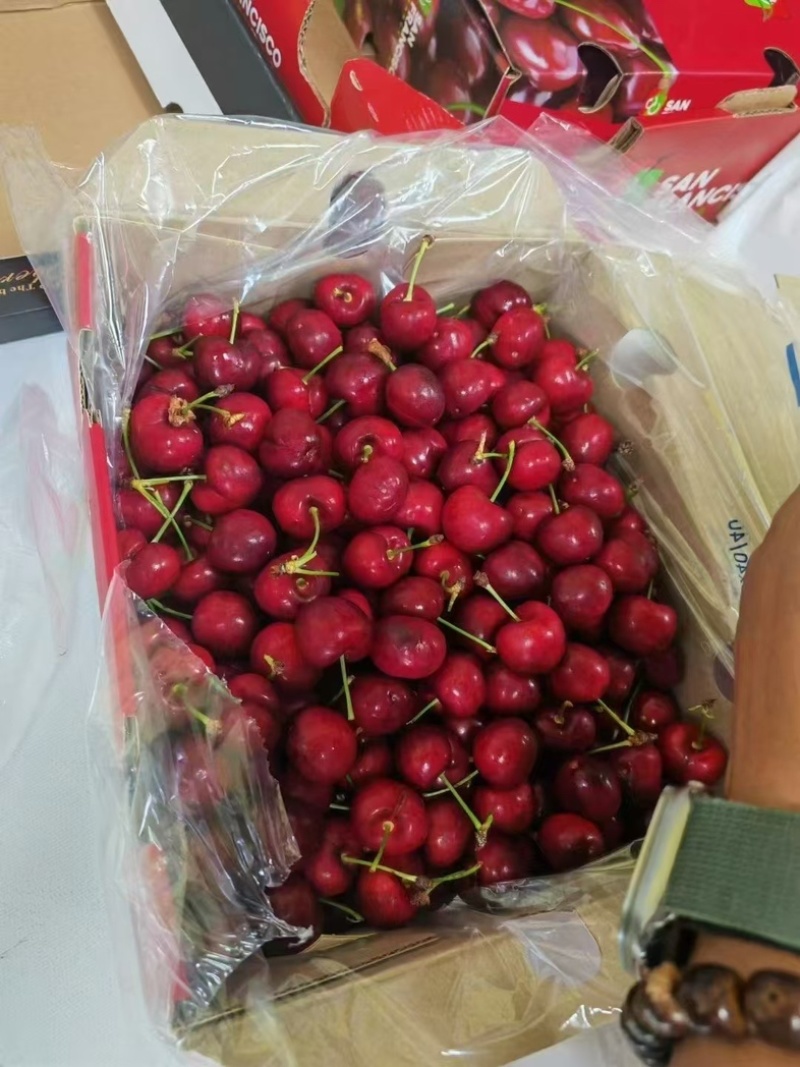 智利车厘子🍒产地直销一手货源➕***********