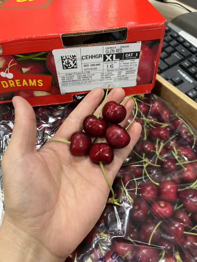 智利车厘子🍒产地直销一手货源➕***********