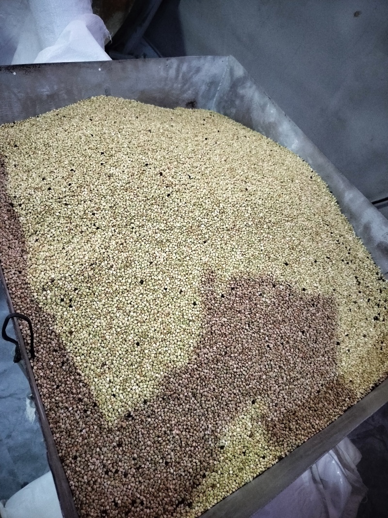 纯手工荞面