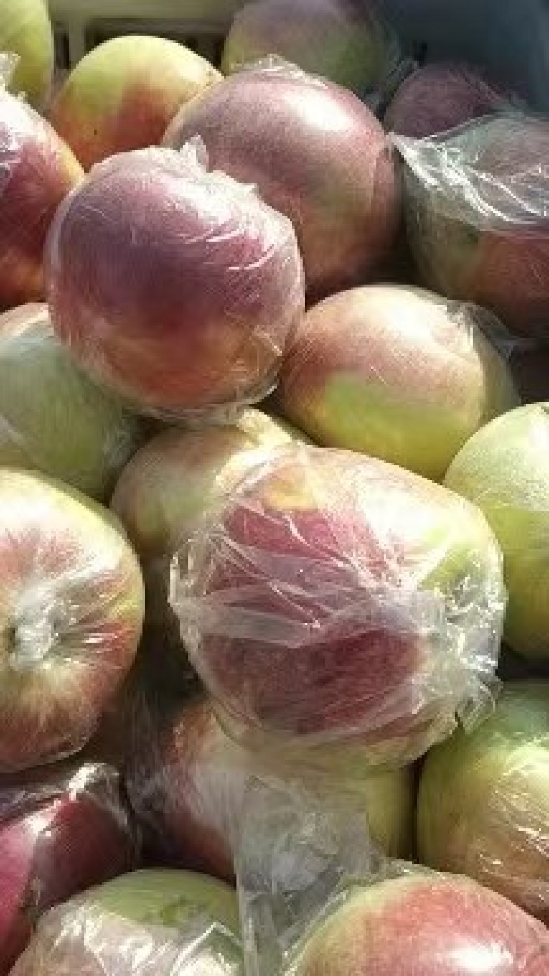 【力推】红富士苹果产地大量现货保质保量质优价廉常年有货
