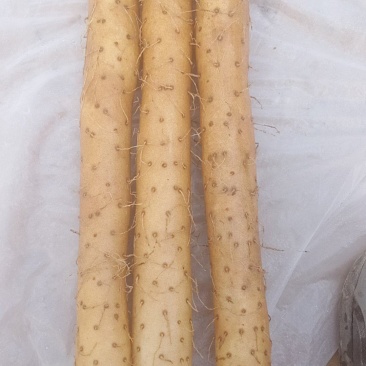 好大货