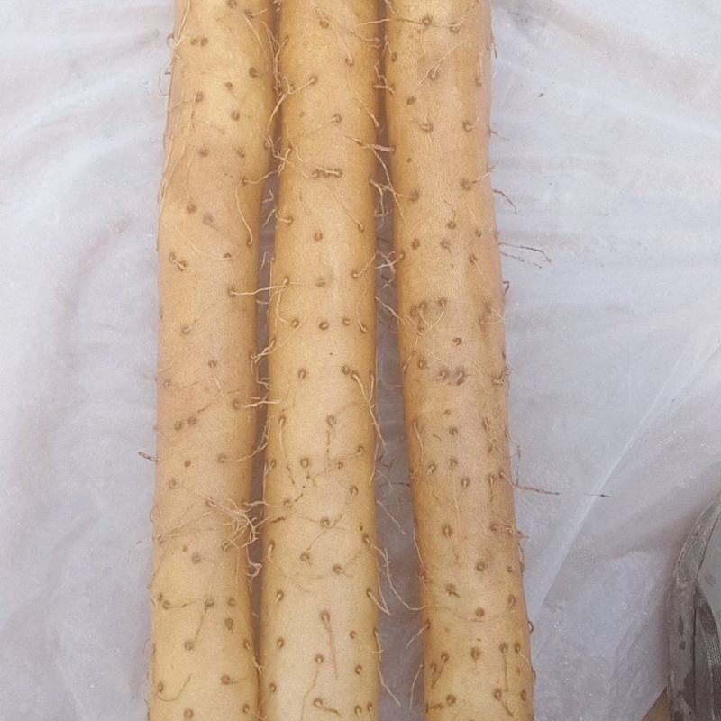 好大货