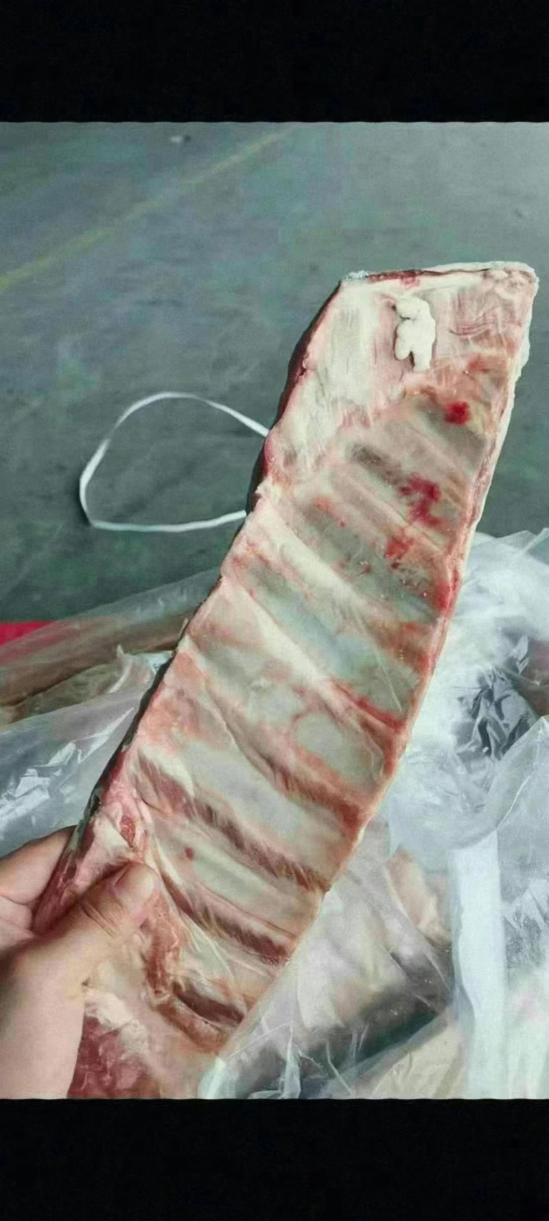 羔羊羊标排一件十九斤8片质量保证