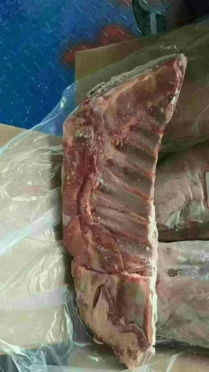 羔羊羊标排一件十九斤8片质量保证
