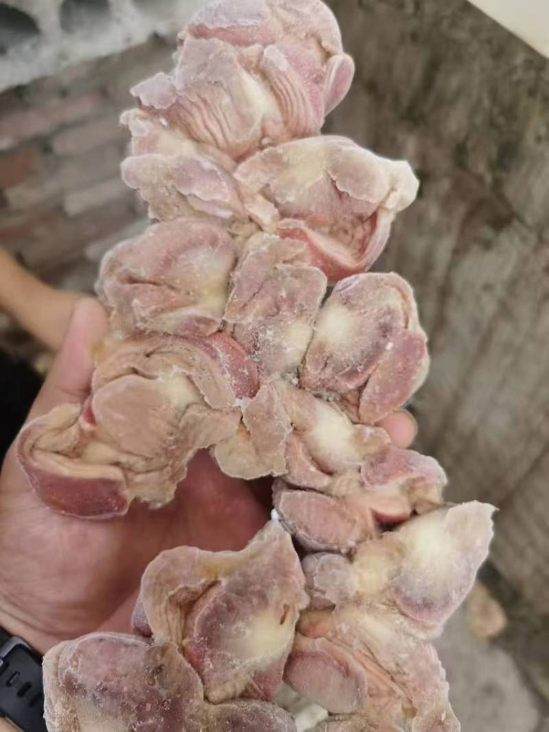 去肚蛋鸡胗