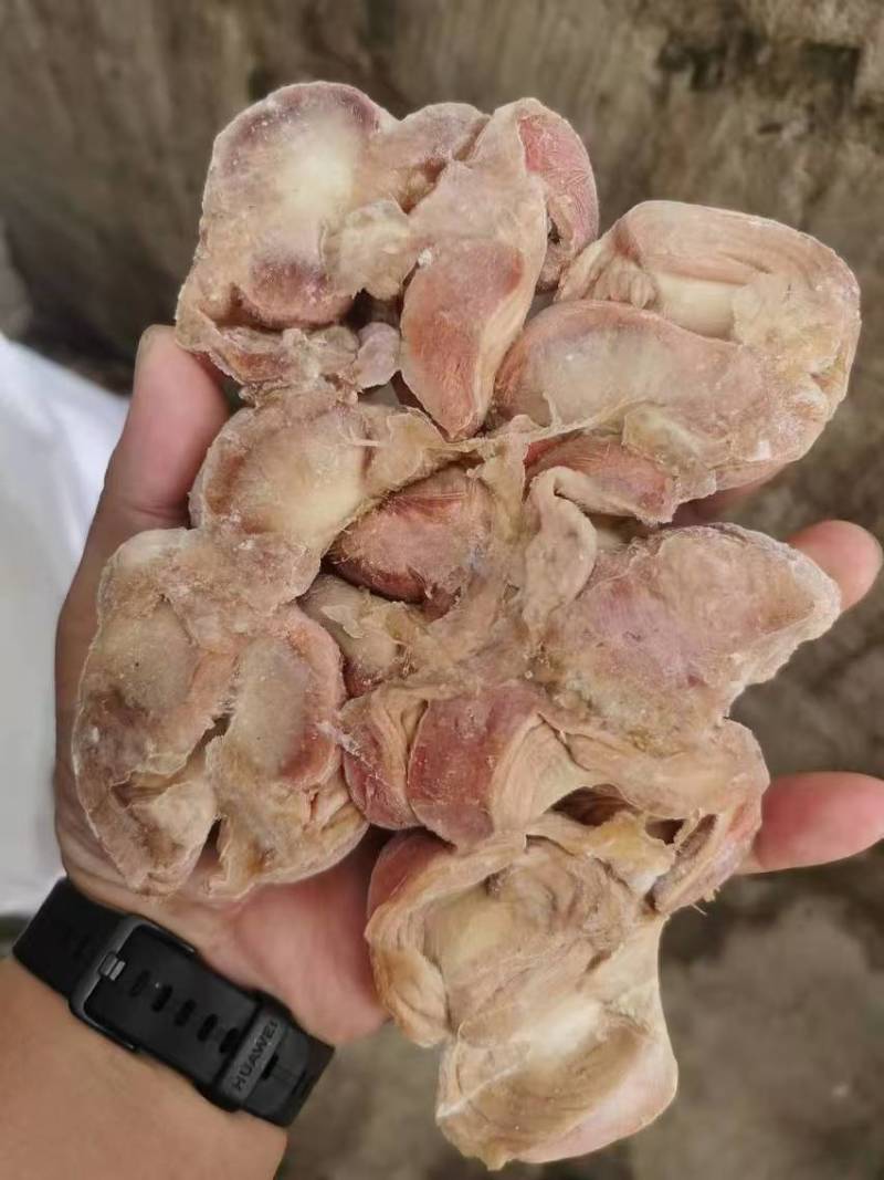 去肚蛋鸡胗