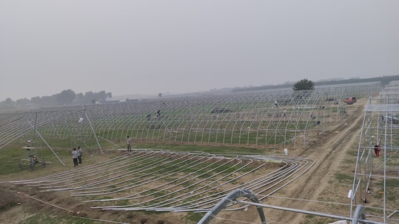 塑料薄膜温室大棚热镀锌钢骨架蔬菜大棚养殖大棚，全国承