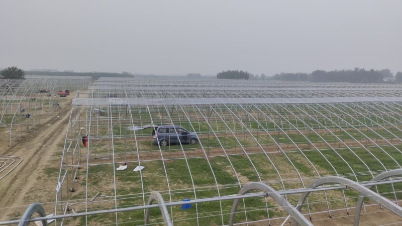 塑料薄膜温室大棚热镀锌钢骨架蔬菜大棚养殖大棚，全国承