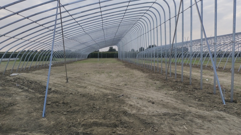 塑料薄膜温室大棚热镀锌钢骨架蔬菜大棚养殖大棚，全国承