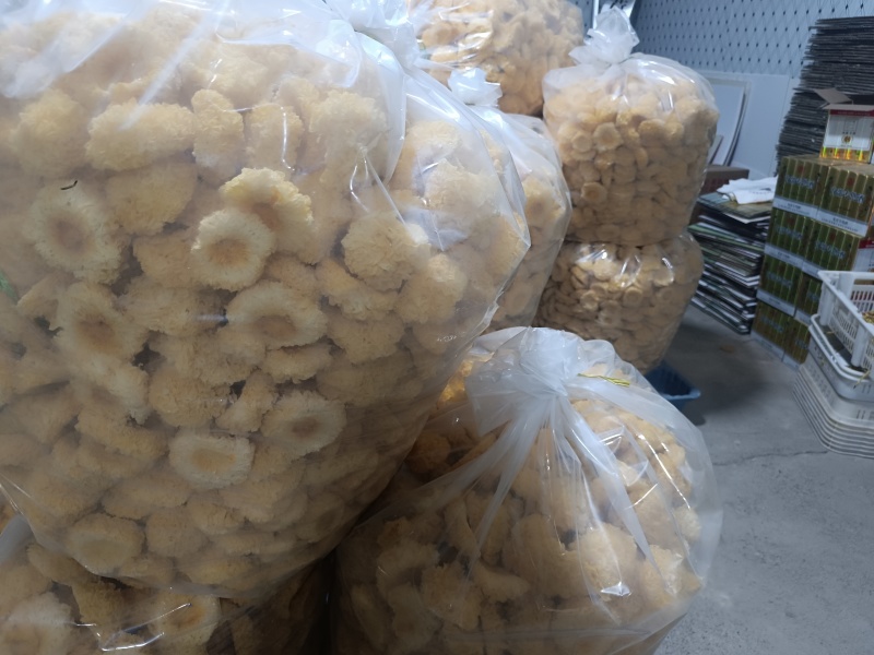 银耳干品，工厂基地智能出菇棚鲜品烘干品，大批量欢迎联系。