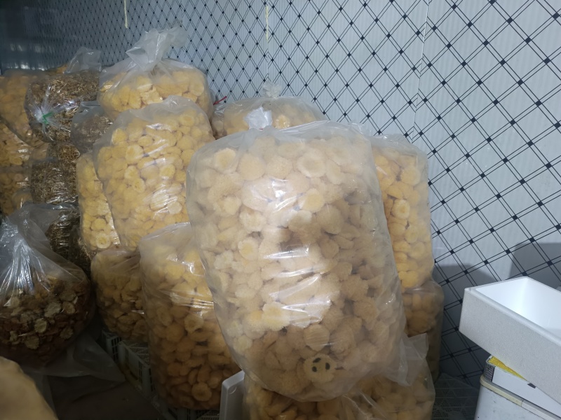 银耳干品，工厂基地智能出菇棚鲜品烘干品，大批量欢迎联系。