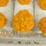 金耳鲜品，大批量的欢迎联系