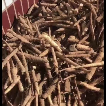 双棒，棒药下脚料，大量有货全国出售
