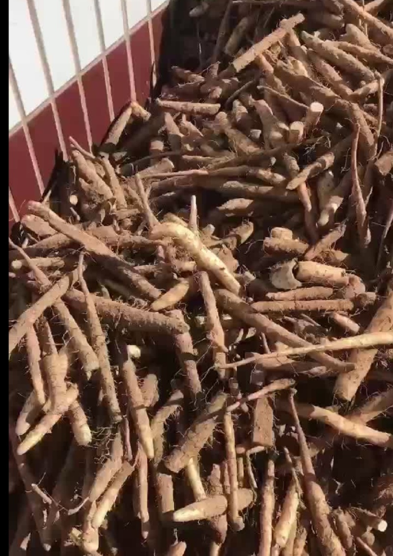 双棒，棒药下脚料，大量有货全国出售