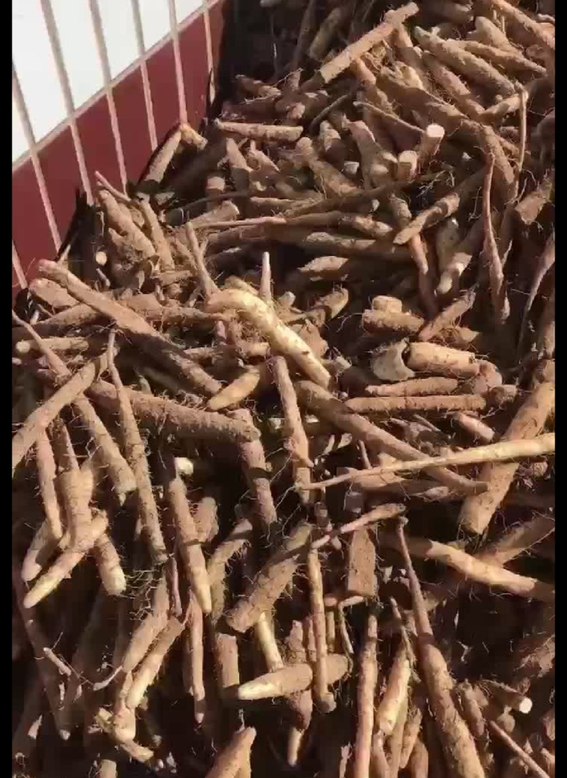 双棒，棒药下脚料，大量有货全国出售