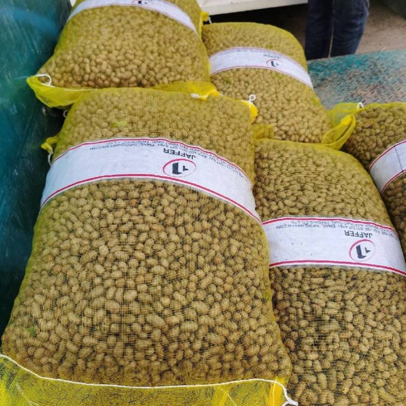 大量出售山药豆