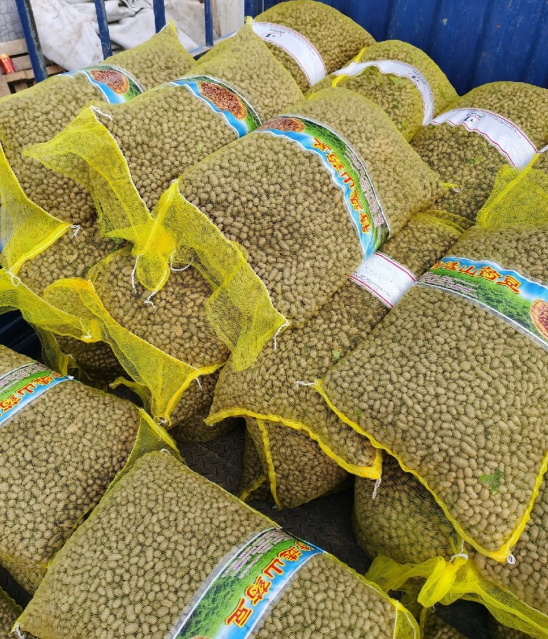 大量出售山药豆