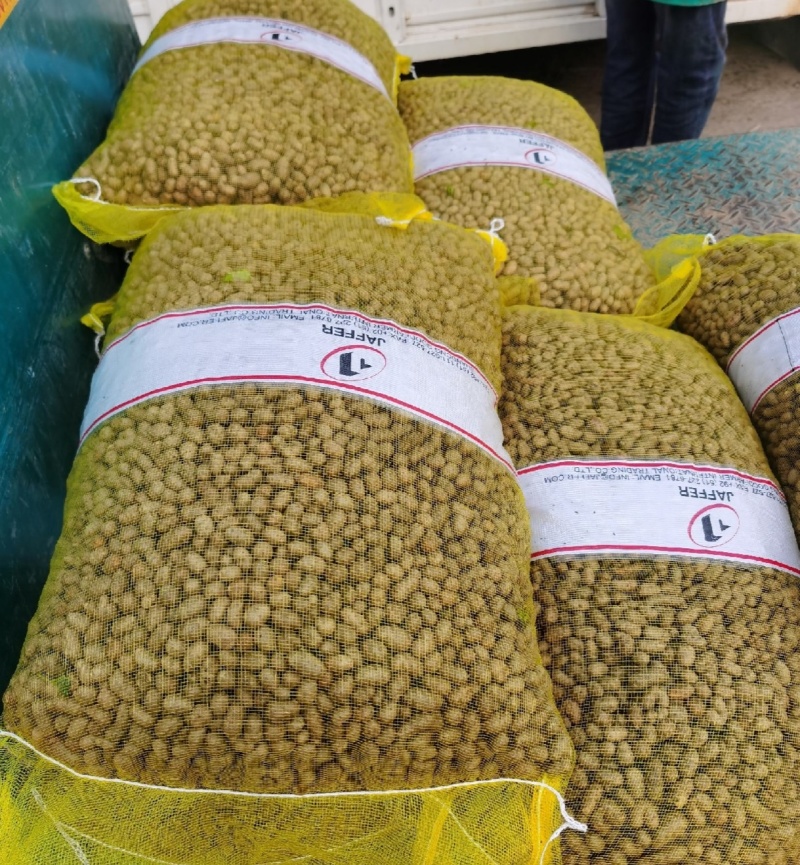 大量出售山药豆