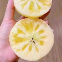 新疆阿克苏冰糖心苹果电商团购均可