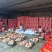新疆阿克苏冰糖心苹果电商团购均可