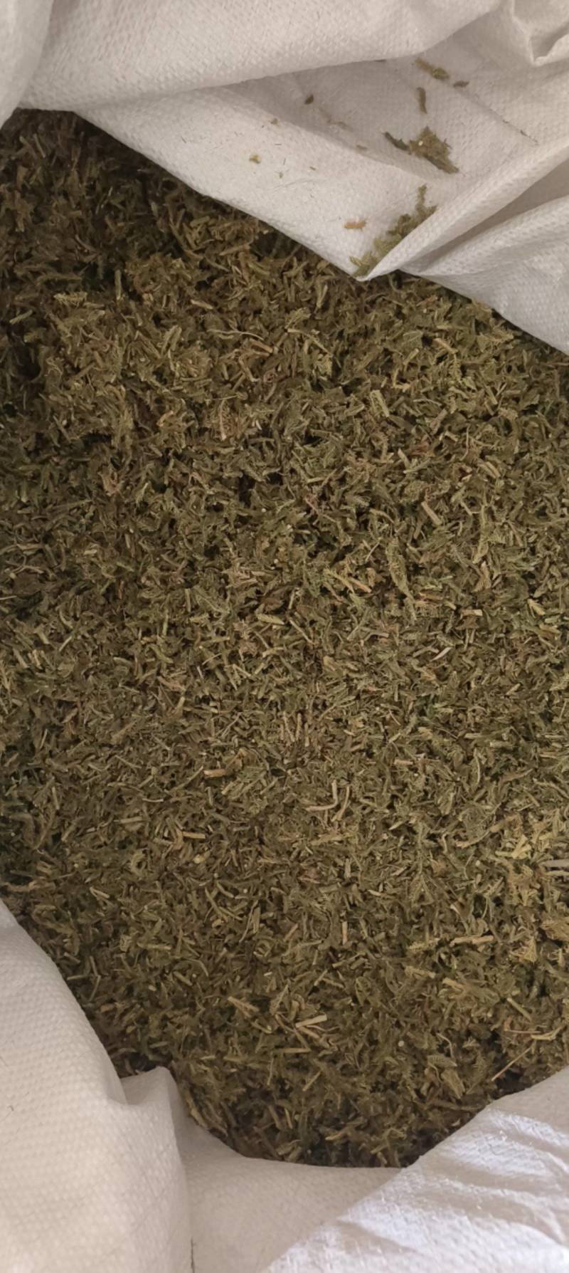 （热销）伸筋草一手货源严于品质实物拍摄祥泰药材栈欢迎购