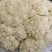 【新鲜】河南精品松花菜，青梗白面小米粒，耐运输，价格优