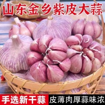 大蒜/【紫皮大蒜】/金乡大蒜/产地批发/需要电话联系