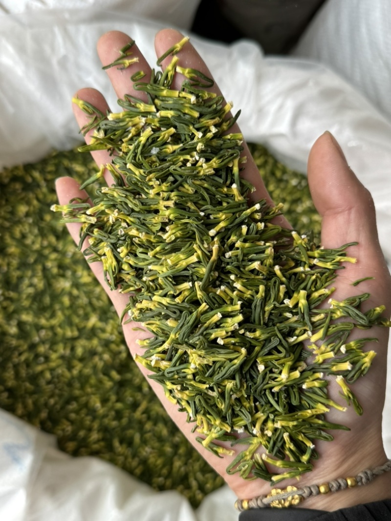 莲子心选装无碎粒好货发货如图干净正品