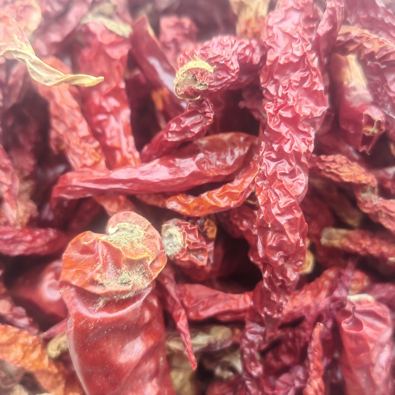 【有好货】鲜红干辣椒量大从优保质保量对接全国基地直发
