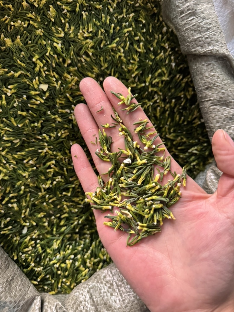 莲子心选装无碎粒好货发货如图干净正品