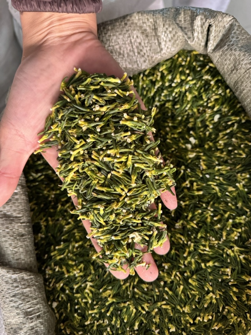 莲子心选装无碎粒好货发货如图干净正品