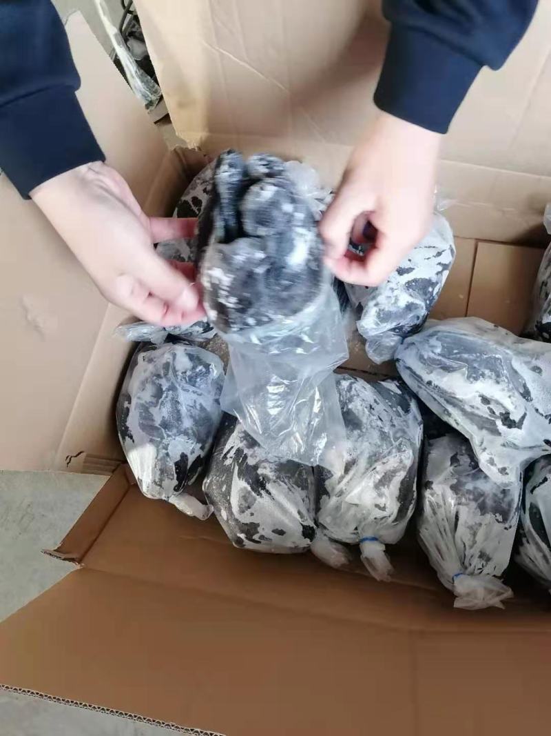 乌鸡白条盘腿全净膛（规格齐全）可真空包装